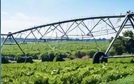 Centre-pivot irrigation over crops